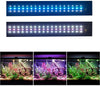 MQ 24/7 Plantado Plus Acuario Luz LED, Automatizado Espectro Completo Tanque de Peces Luz con Control Remoto - BESTMASCOTA.COM