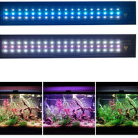 MQ 24/7 Plantado Plus Acuario Luz LED, Automatizado Espectro Completo Tanque de Peces Luz con Control Remoto - BESTMASCOTA.COM