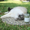 Tabby James Premium Orgánica catnip Regular Cut Set, 0,5 oz - BESTMASCOTA.COM
