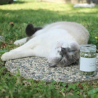 Tabby James Premium Orgánica catnip Regular Cut Set, 0,5 oz - BESTMASCOTA.COM
