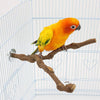 Kathson Parrot Perches, Pájaros Soporte Natural de Uva Silvestre Palo de Molienda de Canina Escalada de Pie Accesorios de Juguete Ramas para Parakeet, Budgies, Lovebirds - BESTMASCOTA.COM