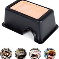 Tfwadmx Gecko Oculto, Reptile Ocultar Caja y Cueva Ocultar con Suministro de Agua para Lizards Serpientes Leopardo Gecko Arañas Rana - BESTMASCOTA.COM