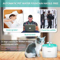 Moer sky pet fountain top