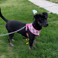 Ringloose - Arnés de malla suave para perros pequeños, medianos, cachorros, mascotas, fácil de controlar, para caminar y entrenar - BESTMASCOTA.COM