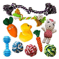 AMZpets 10 juguetes más populares para perros pequeños y cachorros. Juguetes de peluche, juguetes de cuerda, juegos de peluche, cuerdas de masticar, bolas, hueso de goma, bolsa de transporte. Juego de juegos variados para Toss & Tug Play. - BESTMASCOTA.COM