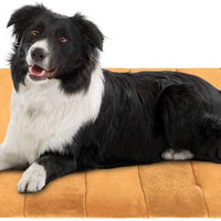 JoicyCo - Colchoneta para cama de perro, 27.5/36/42/47 pulgadas, lavable, antideslizante - BESTMASCOTA.COM