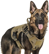 Rabbitgoo Tactical Dog Harness Vest Large with Handle, Military Working Dog Molle Vest with Metal Buckles & Loop Panels, No-Pull Adjustable Training Harness with Leash Clips for Walking Hiking Hunting - BESTMASCOTA.COM