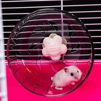 Micoka - Rueda de hámster para correr, juguete silencioso para hámsters, gérmenes o ratones - BESTMASCOTA.COM