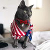 BoomBone - Collar para gato con diseño de bandera americana - BESTMASCOTA.COM