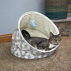 Kitty City Large Cat Tunnel Bed, Cat Bed, Pop Up Bed, Cat Toys, Christmas Tree - BESTMASCOTA.COM