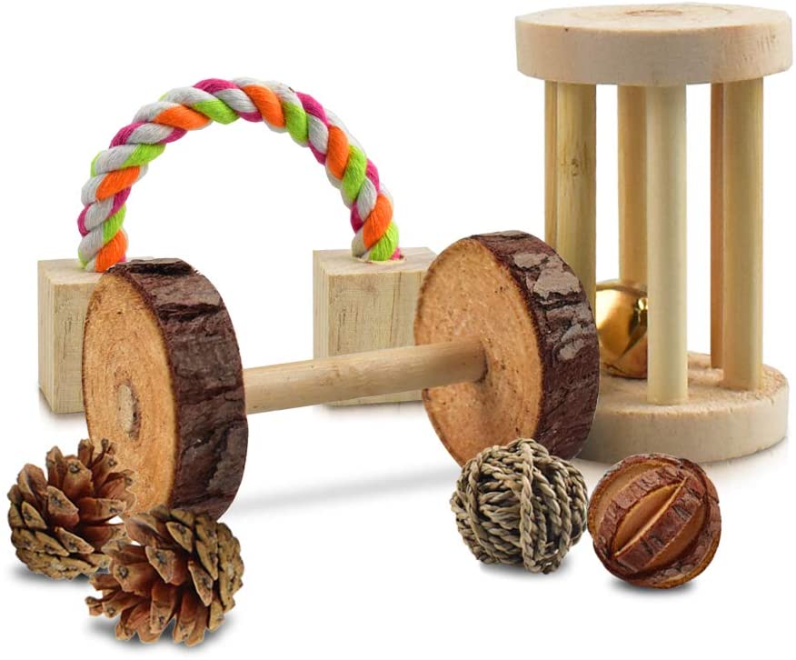 Juguetes masticables para hámster, 12 mancuernas de madera natural para  mascotas, para ejercicio, campana, túnel, tubo, etc. Cuidado de los  dientes