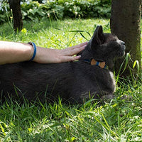 Collar en forma de corbata de lazo para la seguridad de gatos independientes, suave, ajustable y pulsera de la amistad para usted - BESTMASCOTA.COM