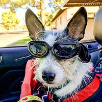 Enjoying Dog Goggles - Small Dog Sunglasses Waterproof Windproof UV Protection for Doggy Puppy Cat - BESTMASCOTA.COM