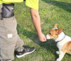 Vivaglory - Bolsa de regalo para perros con manos libres y cintura ajustable y dispensador de bolsas de residuos para perros, 2 maneras de llevar - BESTMASCOTA.COM