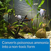 API AMMO-LOCK Desintoxicante de amoníaco, desintoxica amoníaco tóxico para pescar en agua de acuario y agua del grifo, uso cuando se detecta amoníaco - BESTMASCOTA.COM