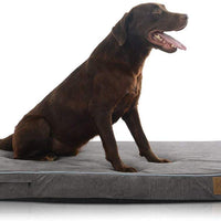 Laifug - Cama ortopédica de espuma viscoelástica para perro con forro impermeable duradero y funda extraíble lavable - BESTMASCOTA.COM