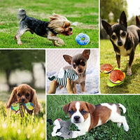 BUIBIIU Juguetes para perros, juguetes de dentición para perros, juguetes para masticar a perros, juguetes para masticar y chirridos, pelotas - BESTMASCOTA.COM