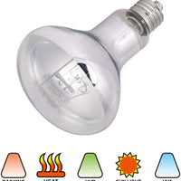 PETSPIONEER - Lámpara solar de 100 W para reptiles, tortugas, dragones y anfibios - BESTMASCOTA.COM