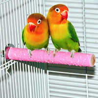 Colorful Bird Perch Stand Platform Natural Wood Playground Paw Grinding Clean for Pet Parrot Budgies Parakeet Cockatiels Conure Lovebirds Rat Mouse Cage Accessories Exercise Toys (4 Color) - BESTMASCOTA.COM