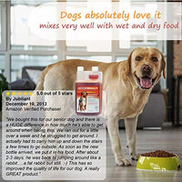 ArthriMAXX Joint Supplement and Wellness Support for Dogs and Cats - BESTMASCOTA.COM