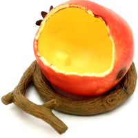 Aves Alimentador Bowl, Comida para pájaros con tazón Feed Copa para pequeños loros Cockatiels Conure hámster animal pequeño recipiente de agua potable para las Aves Jaula accesorios - BESTMASCOTA.COM