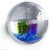 DAMEING Wall Hanging Fish Tank, Acrylic Round Wall Mounted Hanging Fish Bowl Aquarium Tank, Gold Fish and Beta Fish Plant Vase Home Decoration Pot, Transparent (15x15CM) - BESTMASCOTA.COM