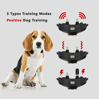Peteme Dog Training Shock Collar Rechargeable with Beep/Vibra/Electric Shock,100% Waterproof, 1200 ft Remote Trainer Range Collar for Small Medium Large Dogs. - BESTMASCOTA.COM