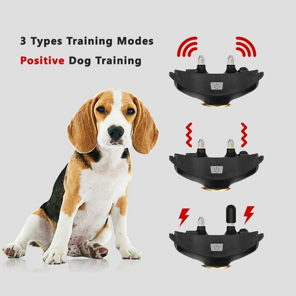 Peteme dog best sale training collar