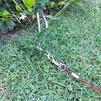 Petey's Pet Products - Cable de amarre para perros, 16 pulgadas, chapado en cromo, antióxido, ideal para acampar o el jardín, apto para arnés, correa y accesorios de cadena - BESTMASCOTA.COM
