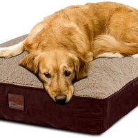 Floppy Dawg cama grande para perro con funda extraíble y forro impermeable. Fabricado para perros grandes de hasta 90 libras. Tamaño grande de 40 x 28 pulgadas y relleno de hasta 8 pulgadas de alto con piezas de espuma viscoelástica mezcladas. - BESTMASCOTA.COM