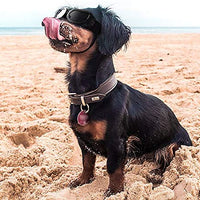 Enjoying Dog Goggles - Small Dog Sunglasses Waterproof Windproof UV Protection for Doggy Puppy Cat - BESTMASCOTA.COM