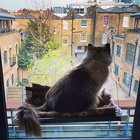 Kitty Cot Original World's Best Cat Perch - BESTMASCOTA.COM