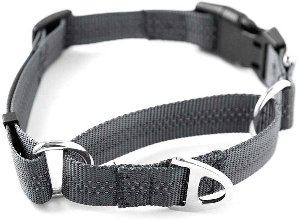 Collar de entrenamiento de nailon Mighty Paw Martingale. Nuestro collar de zapatillas de entrenamiento aprobado limitado. Collar de cincha modificado para una fuerza controlada para un entrenamiento óptimo. Costuras reflectantes para mantener a tu perro s - BESTMASCOTA.COM