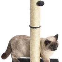 AmazonBasics rascador y hamaca para gatos - BESTMASCOTA.COM