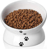 Y YHY - Cuenco de cerámica para comida de gato, diseño inclinado, ángulo de inclinación para proteger la columna vertebral del gato, sin estrés, prevención de reflujo, regalo para gato, color blanco - BESTMASCOTA.COM