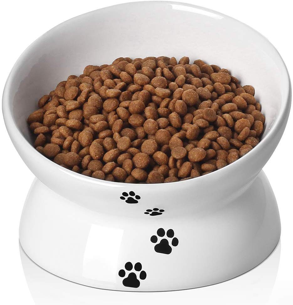 Y YHY - Cuenco de cerámica para comida de gato, diseño inclinado, ángulo de inclinación para proteger la columna vertebral del gato, sin estrés, prevención de reflujo, regalo para gato, color blanco - BESTMASCOTA.COM