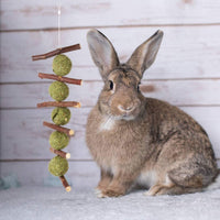 Juguetes para masticar los dientes, palitos de manzana orgánicas naturales para conejos, chinchillas, cobayas, hámsters masticando jugando mejorar la salud dental - BESTMASCOTA.COM