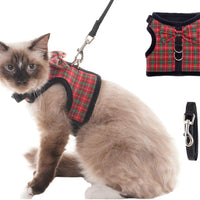 BINGPET Escape Proof Cat Harness - Adjustable Vest and Leash Set - BESTMASCOTA.COM