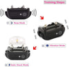 Runpettee - Collar de entrenamiento para perro, totalmente impermeable, recargable, con vibración, golpes, tono y retroiluminación LCD, collar electrónico de choque de Vibra, XL - BESTMASCOTA.COM