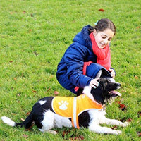 Chaleco reflectante de seguridad para perros, 5 tamaños para adaptarse a perros de 10 libras – 130 libras: alta visibilidad para actividades al aire libre día y noche, mantiene a tu perro visible, seguro de coches y accidentes de caza | Blaze Orange chale - BESTMASCOTA.COM