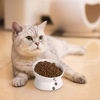 Y YHY - Cuenco de cerámica para comida de gato, diseño inclinado, ángulo de inclinación para proteger la columna vertebral del gato, sin estrés, prevención de reflujo, regalo para gato, color blanco - BESTMASCOTA.COM