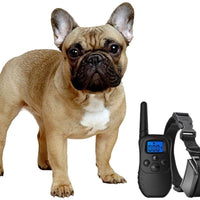 eXuby Collar de Golpe para Perros Pequeños con Mando a Distancia - Incluye 2 Collares (Pequeño y Mediano) + Entrenamiento Gratis Clicker Perro - 3 Modos (Sonido, vibración y Golpeo) - Ahorra dinero con Baterías Recargables - BESTMASCOTA.COM
