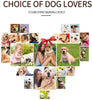 Collar de corteza de perro, Jing Cheng, compacto, antiladridos para perro, con detección de ladridos automáticos, sensibilidad ajustable, humano, recargable e impermeable para perros pequeños y medianos y grandes - BESTMASCOTA.COM