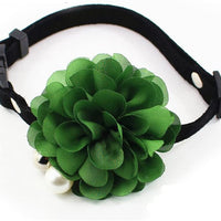 PetFavorites - Collar de corbata para mascotas, gato con colgante de campana, para mascotas, gatos - BESTMASCOTA.COM