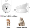 Y YHY - Cuenco de cerámica para comida de gato, diseño inclinado, ángulo de inclinación para proteger la columna vertebral del gato, sin estrés, prevención de reflujo, regalo para gato, color blanco - BESTMASCOTA.COM