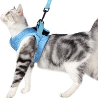 Yult Arnés y correa para gatos – Ultra ligera a prueba de escape, collar de gatito, chaqueta de senderismo con amortiguación para correr, suave y cómodo, adecuado para cachorros conejos - BESTMASCOTA.COM