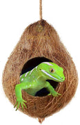 SunGrow Gecko Coco Hut, Raw Coconut Husk, Durable and Sturdy, Treat and Food Dispenser, Ideal for Reptiles and Amphibians, Nesting Home Hide, Rough Texture Encourages Foot and Beak Exercise - BESTMASCOTA.COM