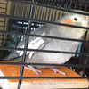 Colorido soporte para perca de pájaro, plataforma de madera natural para parque de recreo, molienda de patas, limpieza para mascotas, loros, parakeet, cacatías, conure Lovebirds - BESTMASCOTA.COM