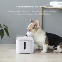 PETKIT Cat Water Fountain, 68oz/2L Automatic Pet Water Fountain Super Quiet Auto Power-Off Cat Water Dispenser, Dual Working Mode LED Indicator Light Dog Water Fountain Bowl, Reddot Design Winner - BESTMASCOTA.COM