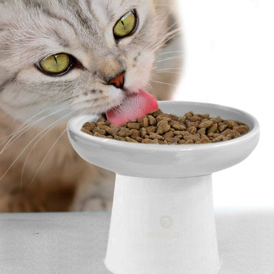 Large Cat Bowl with Stand - Suitable Eating Height for Pets - Easy Cleaning for You - Raised Food Bowl - Stress-Free Meal Time for Your Cats - Stoneware Feeding Station - BESTMASCOTA.COM